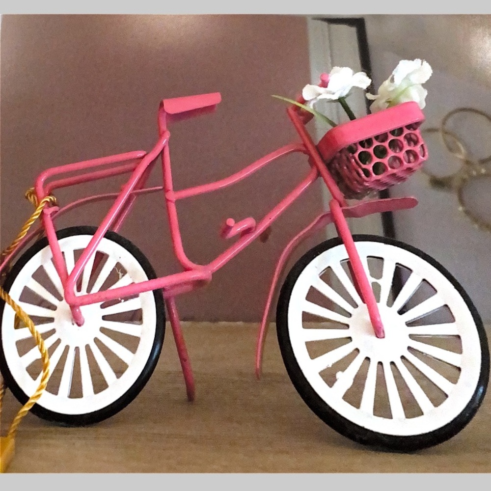 Mini Vintage Bike